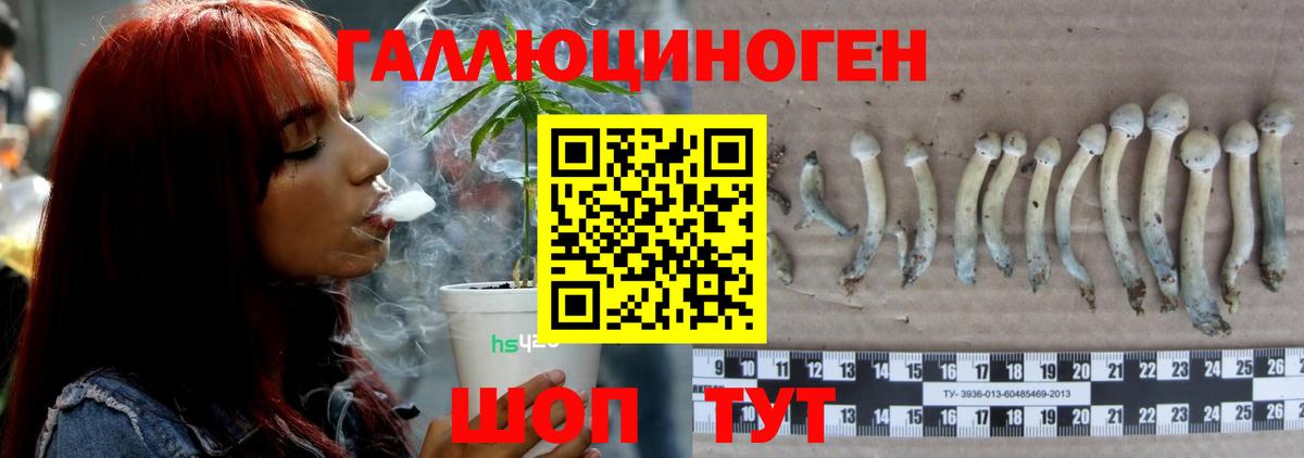Оренбург  Галлюциногенные грибы мухоморы  Вход с VPN 