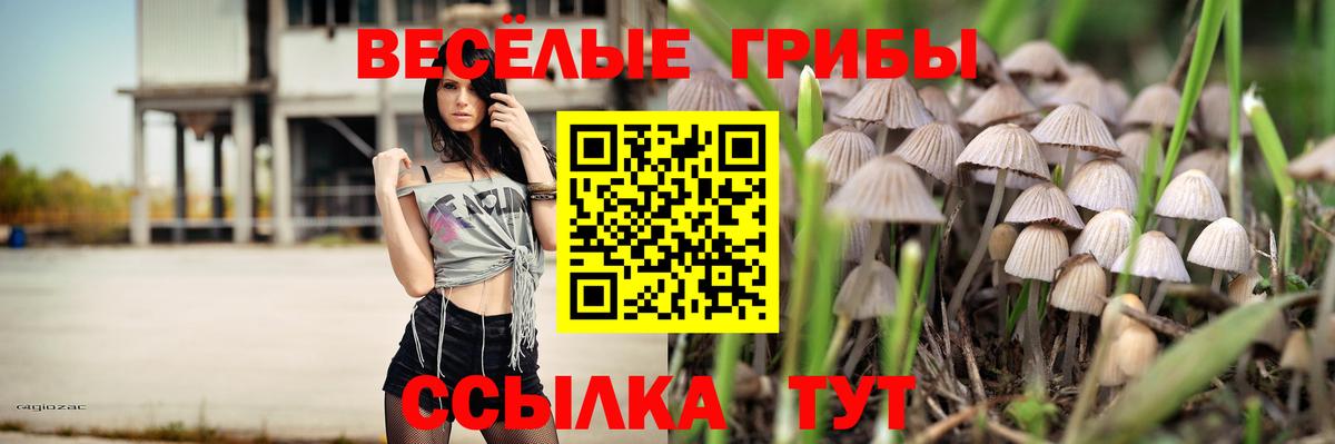 Галлюциногенные грибы GOLDEN TEACHER Оренбург